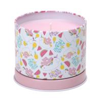 Care Bears Pineapple & Coconut Tin Candle Extra Image 1 Preview